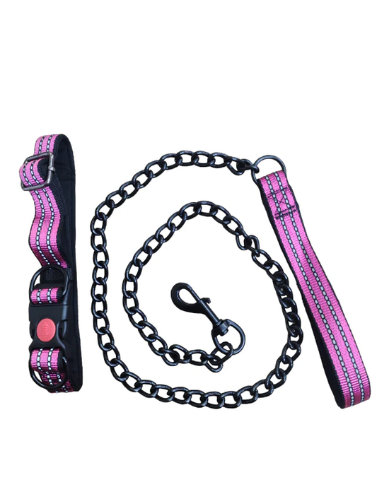 LAISSE + COLLIER POUR CHIENS
