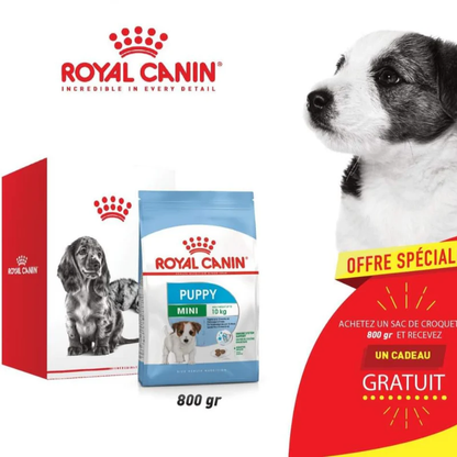 ROYAL CANIN – KIT CHIEN MINI CHIOT