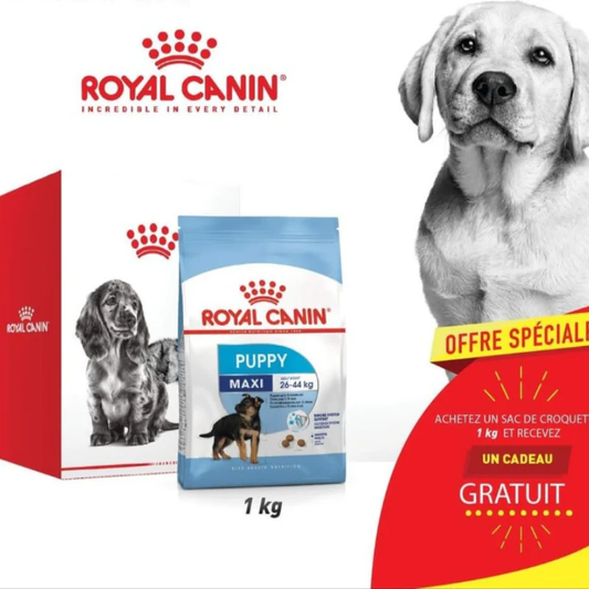 ROYAL CANIN - KIT MAXI CHIOT 1 KG + CADEAU 