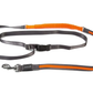 BEEZTEES – LAISSE DE JOGGING SAFETY GEAR POUR CHIEN