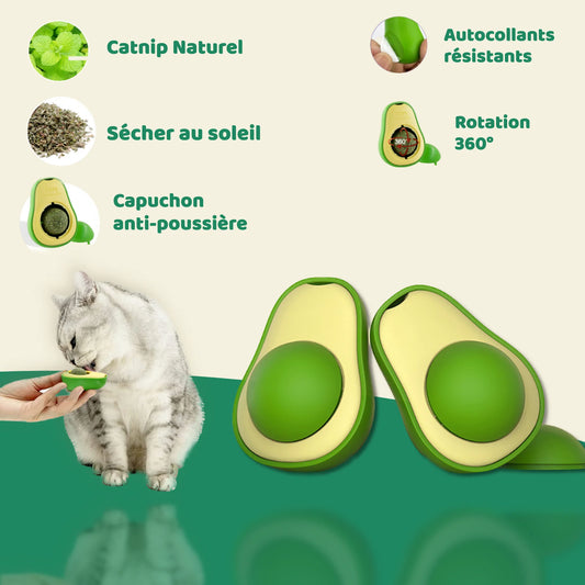 AVOCAT CATNIP - Herbe à chat 