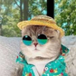 LUNETTE SOLAIRE POUR CHAT &amp; CHIEN