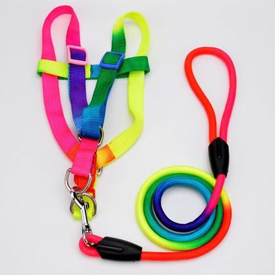 LAISSE AVEC HARNAIS ARC EN CIEL POUR MINI CHIEN ET CHAT
