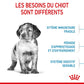 ROYAL CANIN – CHIOT MOYEN