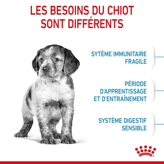 ROYAL CANIN – CHIOT MOYEN