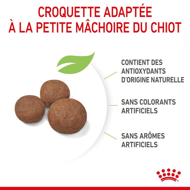 ROYAL CANIN – CHIOT MOYEN