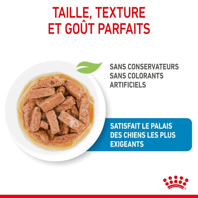 ROYAL CANIN – POCHON CHIOT MAXI – 140G