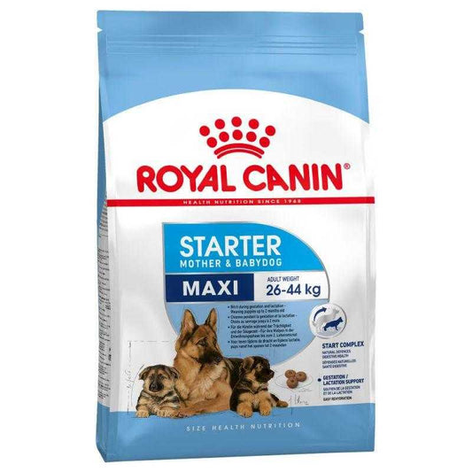 ROYAL CANIN – CHIEN MAXI STARTER MÈRE ET BÉBÉ CHIEN